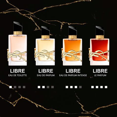 libre yves saint laurent piramide olfattiva|libre le perfume ysl.